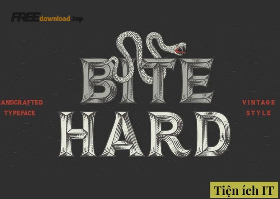 Minh họa trục biến thiên của variable font