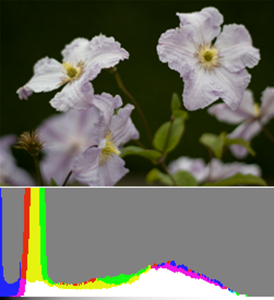 Ví dụ histogram và ảnh minh hoạ