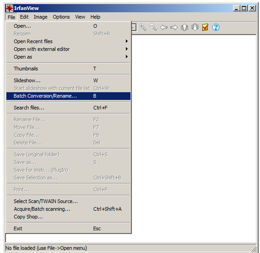 IrfanView batch rename 1