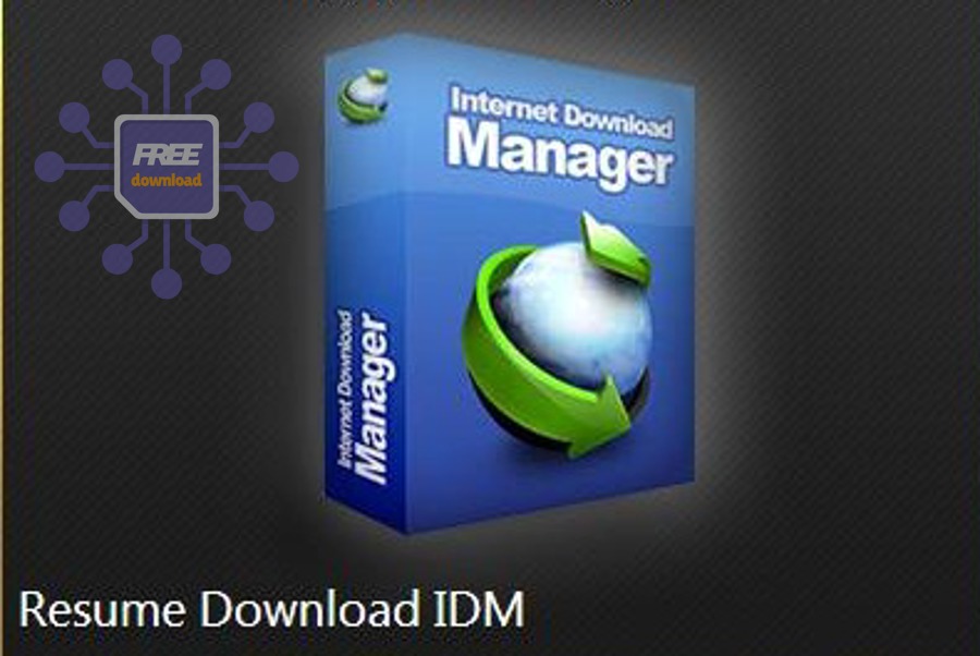 Ảnh minh họa danh sách ứng dụng trên Windows 11