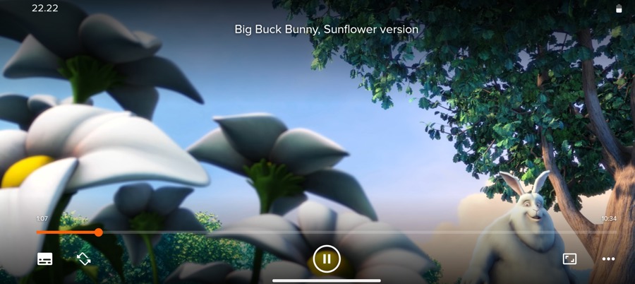 Hướng dẫn tải VLC Media Player miễn phí cho người mới dùng 7 Screenshot of VLC media player on Android