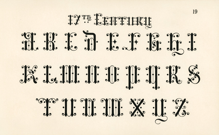 Minh hoạ cảm hứng typography cho poster