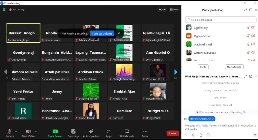 Wiki Naija Names virtual Launch zoom meeting