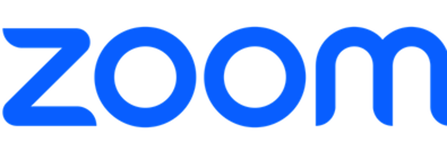 Zoom Logo