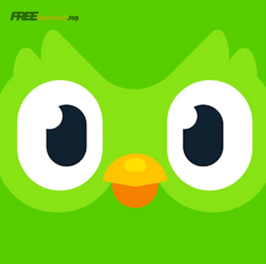 ab676161000051749e9dfec627a6f3895ff5ba63