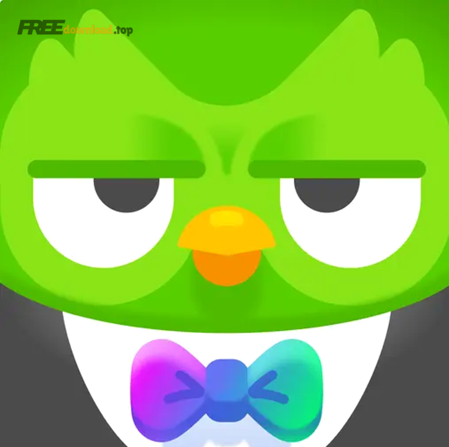 duolingo language lessons 2024 01 10