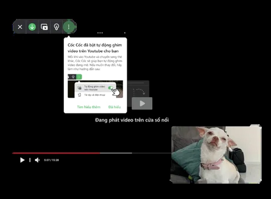 Giao diện tính năng Cốc Cốc trên máy tính
