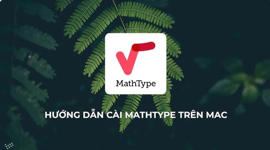 Hướng dẫn cài đặt chi tiết MathType cho người mới