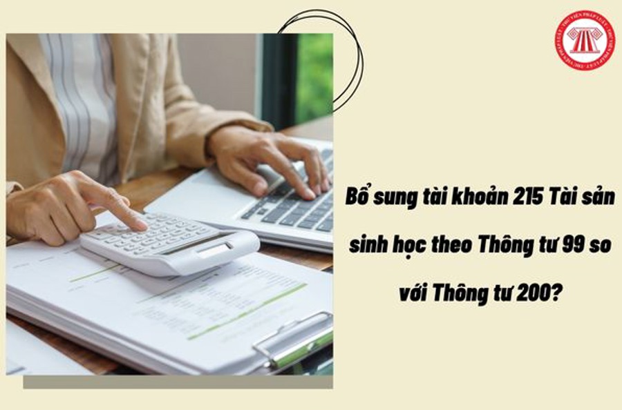 Quy trình triển khai phần mềm